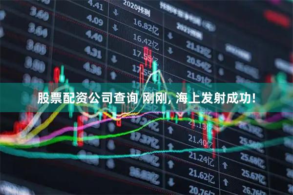 股票配资公司查询 刚刚, 海上发射成功!