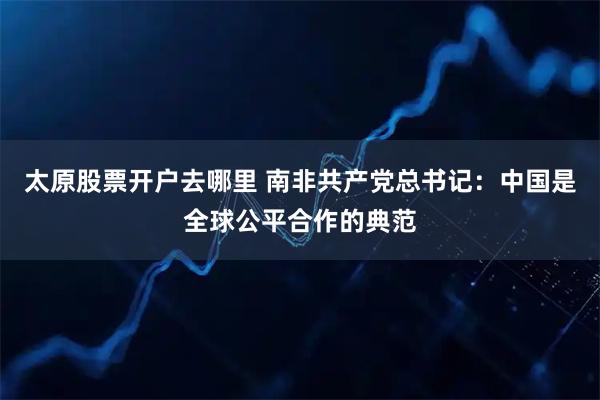 太原股票开户去哪里 南非共产党总书记：中国是全球公平合作的典范