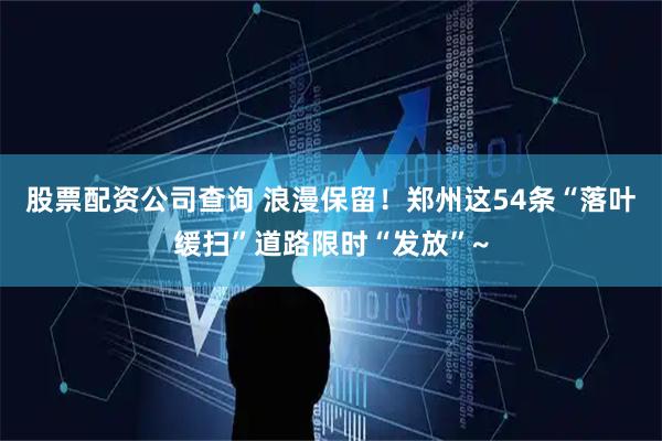 股票配资公司查询 浪漫保留！郑州这54条“落叶缓扫”道路限时“发放”~