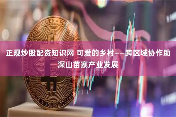 正规炒股配资知识网 可爱的乡村——跨区域协作助深山苗寨产业发展