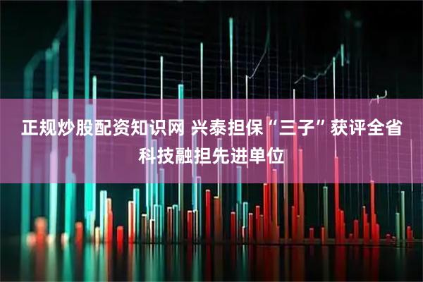 正规炒股配资知识网 兴泰担保“三子”获评全省科技融担先进单位