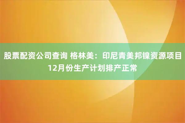股票配资公司查询 格林美：印尼青美邦镍资源项目12月份生产计划排产正常