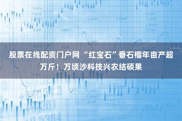 股票在线配资门户网 “红宝石”番石榴年亩产超万斤！万顷沙科技兴农结硕果